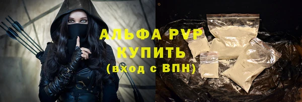 спайс Богданович