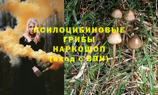 амф Богородицк