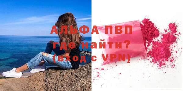 спайс Богданович