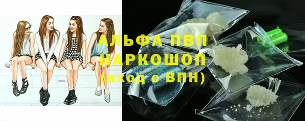 спайс Богданович